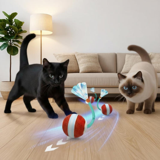 Interactive Motion Cat Toy Ball